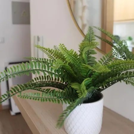 Casa Mar E Sol - Da Consolacao Apartament