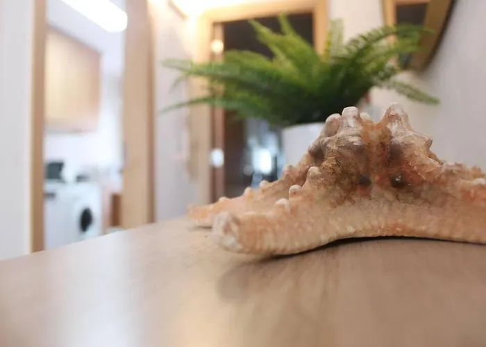 Casa Mar E Sol - Da Consolação *