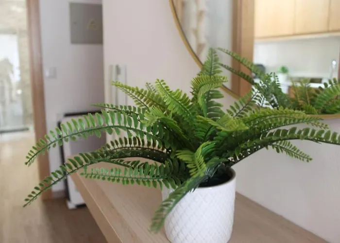 Casa Mar E Sol - Da Consolação Appartement